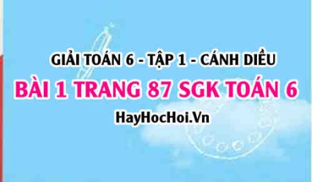 Giải bài 1 trang 87 Toán 6 Tập 1 SGK Cánh Diều